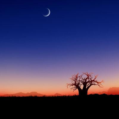 半岛官方下载入口