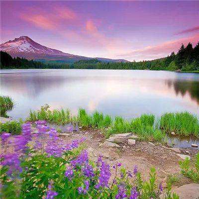 ayx在线登录入口